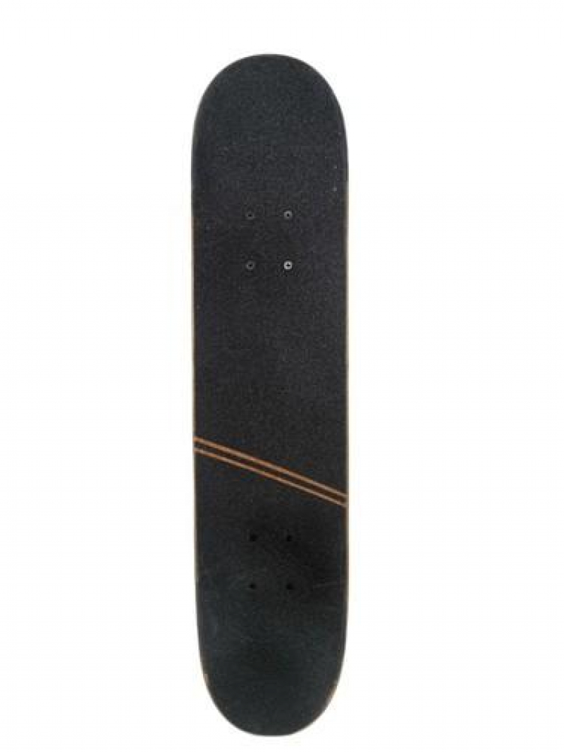 Premium Lost Animals Rino 6,5 Skateboard Complete(2).jpg